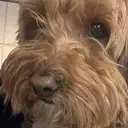 めぐ めぐのプロフィール画像