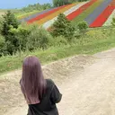 マリーテレジア 🌻RUKAのプロフィール画像