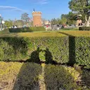 横田 愛菜のプロフィール画像