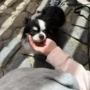 工藤 沙耶のプロフィール画像