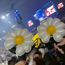 メンズ眉毛専門⚡ Mikuのプロフィール画像