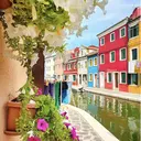 LSA_ BELLAのプロフィール画像