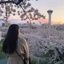 MAXKELLY ASAのプロフィール画像