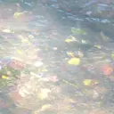 yosoy /rinoのプロフィール画像