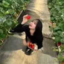 野々山 芽衣のプロフィール画像