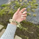 SALSAGRACE 飯塚のプロフィール画像