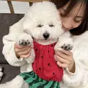 丸の内/栄 /kawagutiのプロフィール画像