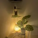 ティアレMISA アロマspa＆美肌のプロフィール画像