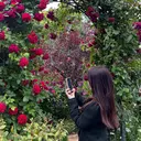 木村 菜摘のプロフィール画像