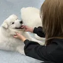 EN_NAIL Nana.のプロフィール画像