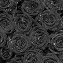 laboT Momokaのプロフィール画像