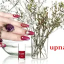 伊藤 アップネイルのプロフィール画像