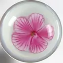 nana ❤︎のプロフィール画像