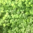 Raby yuuriのプロフィール画像