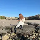 eyelash✨🫧 Saki🌙.*・゚のプロフィール画像