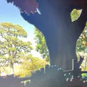 堺 🌱imotoのプロフィール画像