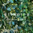 🌱 ま し お 🌱のプロフィール画像