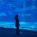 キサラ🖤恵比寿 🖤まつパ/パリのプロフィール画像