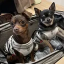 小宮 美羽のプロフィール画像