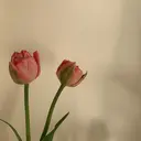 Knail . iのプロフィール画像