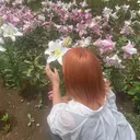 レイヤーカット✨️ Meiモデル募集中のプロフィール画像