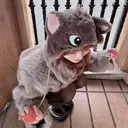 酒井 倖のプロフィール画像