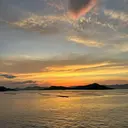 Celeste 西谷のプロフィール画像