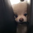 liu mioのプロフィール画像