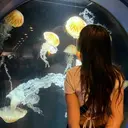 後閑 香澄のプロフィール画像