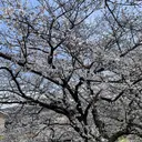 河村 拓海のプロフィール画像