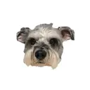 諸橋 優羽のプロフィール画像