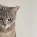 jam~ネイル&アイ ラッシュのプロフィール画像