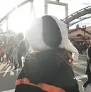 mignon niinaのプロフィール画像