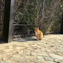 下和田 巧のプロフィール画像