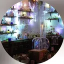 安村 悠希のプロフィール画像