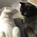 St.Lush静岡店 伊藤のプロフィール画像