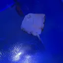 中下 優光のプロフィール画像