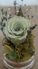 Yamamoto Aのプロフィール画像