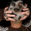 心 ❤️‍🔥のプロフィール画像