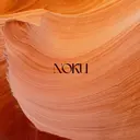 NOKU 下北沢のプロフィール画像