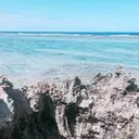 sherry eye モニターのプロフィール画像