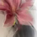 柚 ˖ ࣪⊹のプロフィール画像