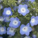 藤村 美玖のプロフィール画像