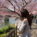 カタギリ カレンのプロフィール画像