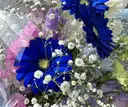 Blanc 今田のプロフィール画像