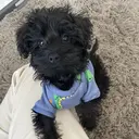 セプトネイル YAMAZAKIのプロフィール画像