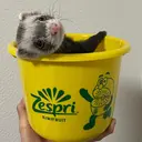 Natural広島店 仙田淳美のプロフィール画像