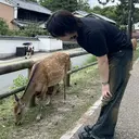 艶髪デザイナー ユウタ｜髪質改善特化のプロフィール画像