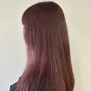 🌼 Satoのプロフィール画像