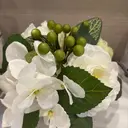 H&B 楊のプロフィール画像